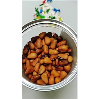 Hạt thông (hàng mới sấy chất lượng )500gr