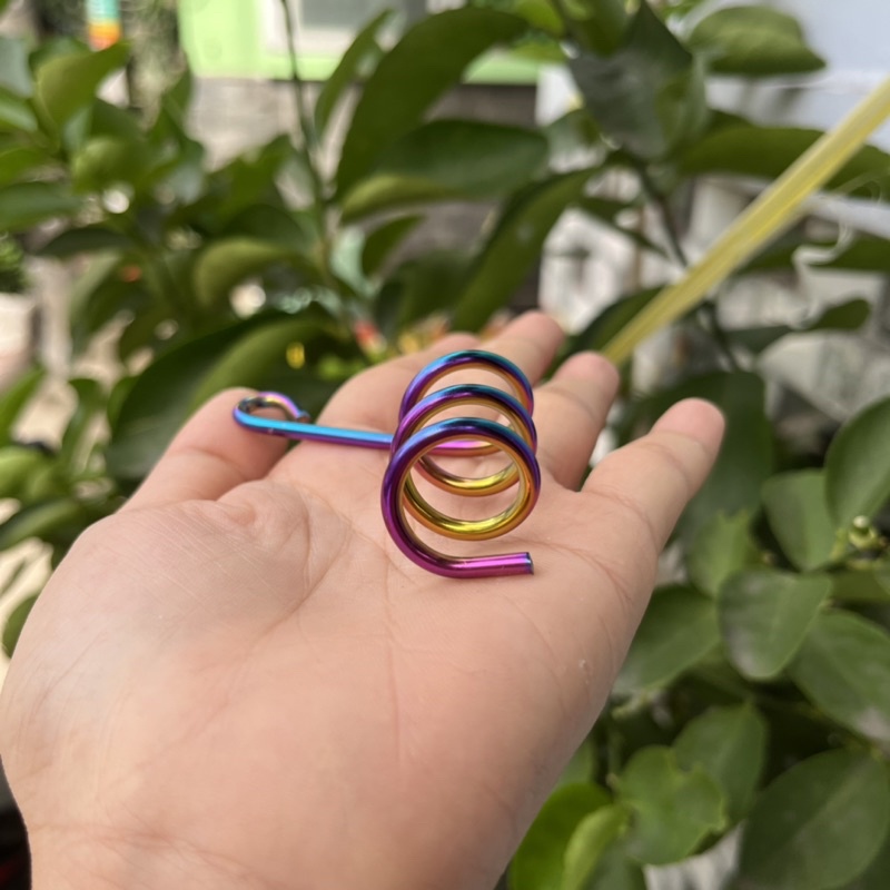 Lò xo kẹp dây dầu/Pas kẹp dầu inox 304