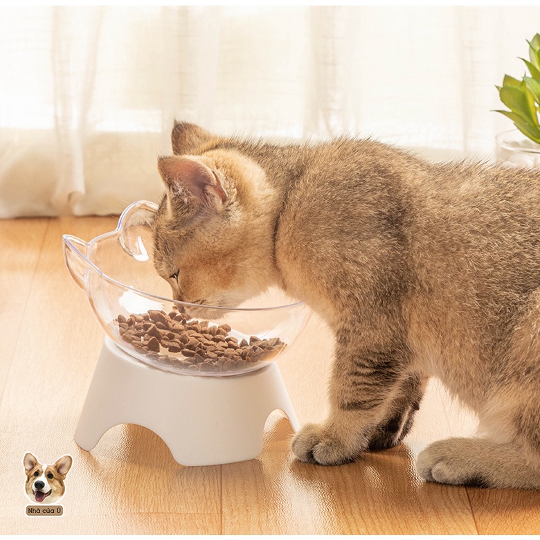 Bát Ăn Chó Mèo Chống Gù - Bát Ăn Chống Gù Trong Suốt Cho Thú Cưng