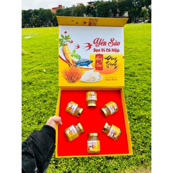 Yến sào đông trùng hạ thảo hồng sâm, đường phèn, nhân sâm,vi cá mập  yến sào 32%