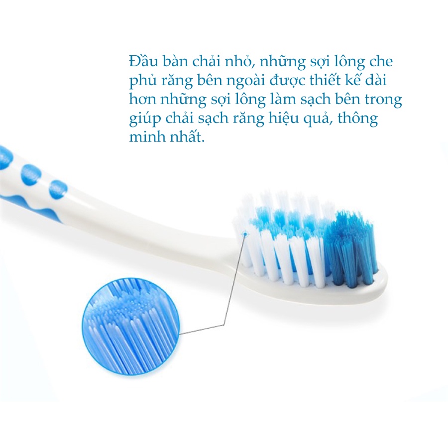 Combo 3 Bàn Chải Đánh Răng Phong Cách Trisa Feelgood