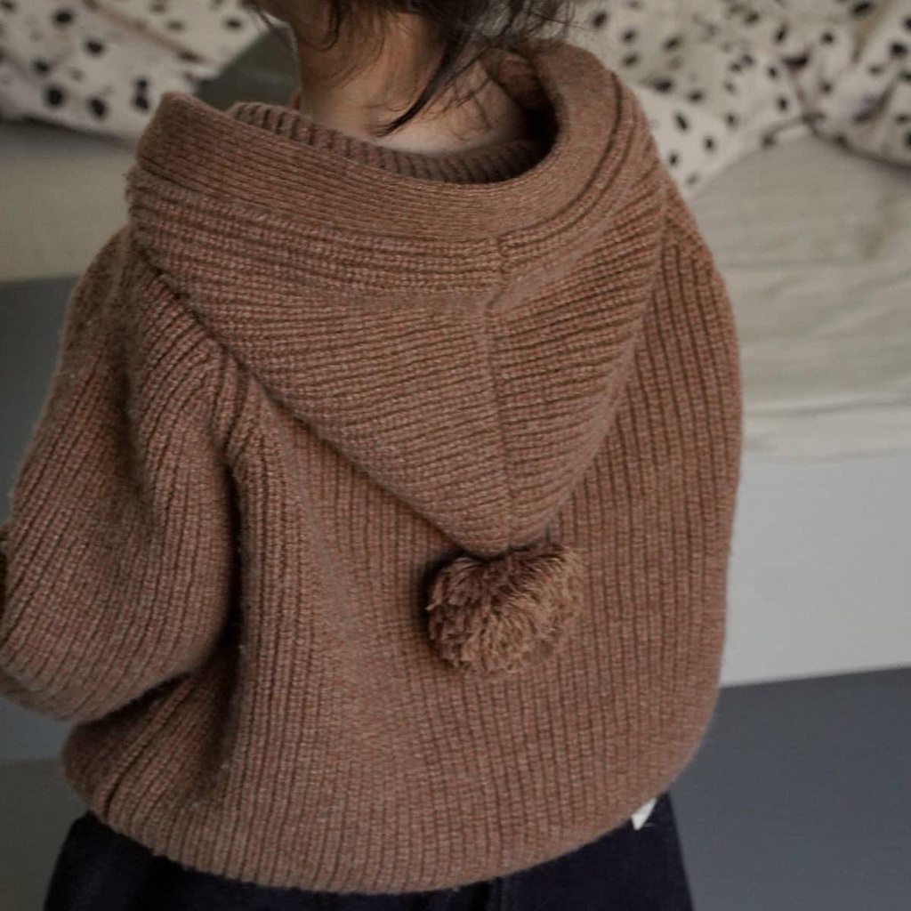 0909AB - ÁO LEN CÓ MŨ CHO BÉ