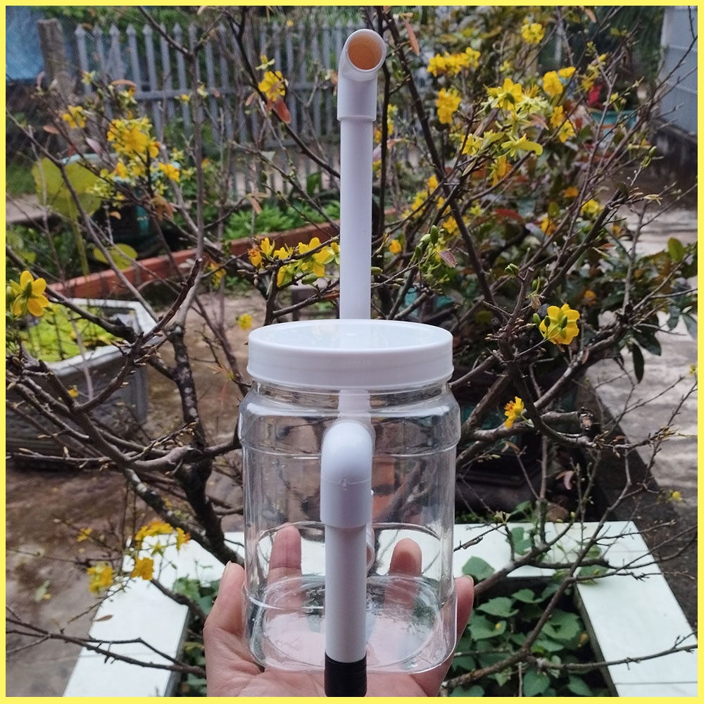 Lọc bio chế lọc vi sinh chế thuỷ sinh