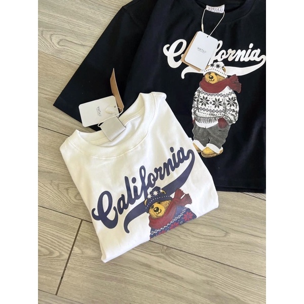 Áo thun Gấu lửng