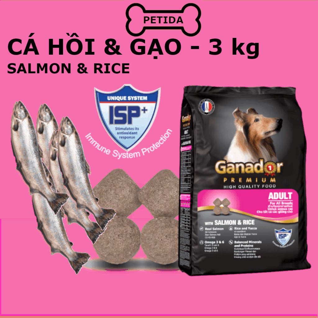 Bình Dương - thức ăn hạt cho chó Ganador 3kg Cá Hồi- Dog food Salmon Petida shop