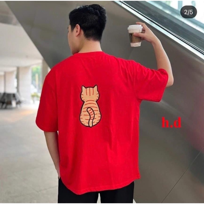 Bộ nam mèo sou HD12