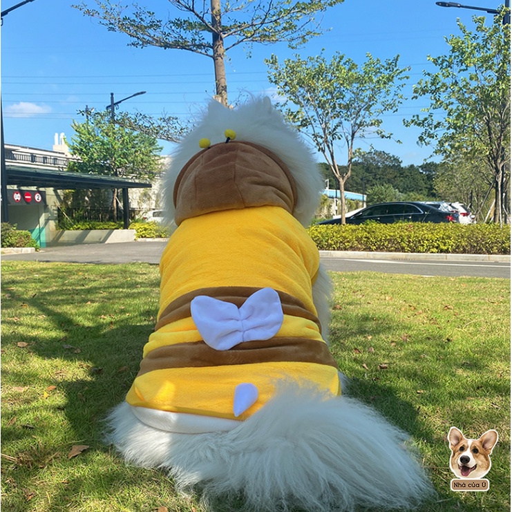 Áo Cho Chó To - Áo Thu Đông Cho Corgi, Samoyed, Golden chất Nhung Bông Hình Con Ong
