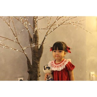 ĐẦM SMOCK BÈO ĐỎ