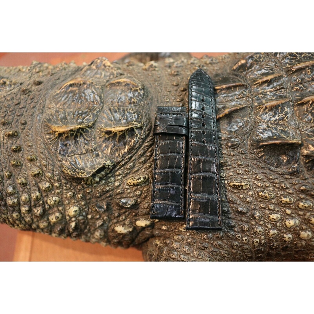 Dây đồng hồ da cá sấu may máy 16/18/20/22mm  Cá Sấu Thành Vinh