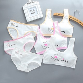 Quần lót bé gái, quần chip bé gái cotton kháng khuẩn, áo lót học sinh LUNASHOP 30 - 45kg