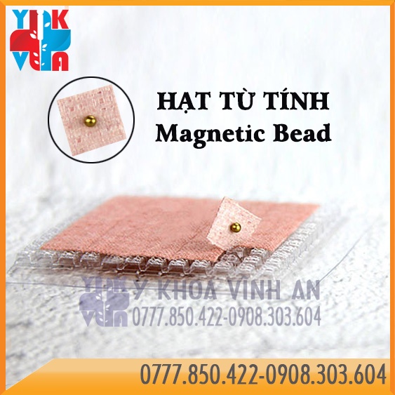 Nhĩ Châm Dán Hạt Vương Bất Lưu Hành Hộp 600 Hạt Từ Tính Gói 100 Hạt