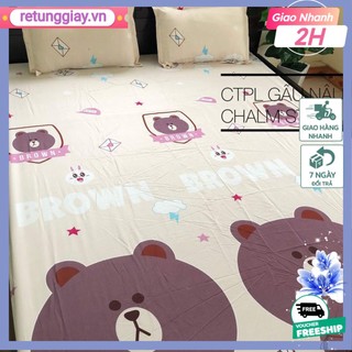 SÉT GA GỐI POLY 1M2X2M THƯỜNG 3 CON GẤU NÂU