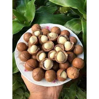 Freeship max-“macca sấy nứt vỏ - đăk lăk" hộp 500gram