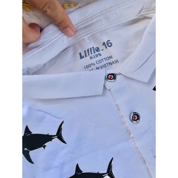 🚗 Áo thun cotton hàng shop bé trai từ 40-65kg