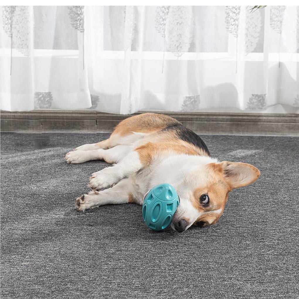 Bóng Cao Su Đồ Chơi Cho Thú Cưng