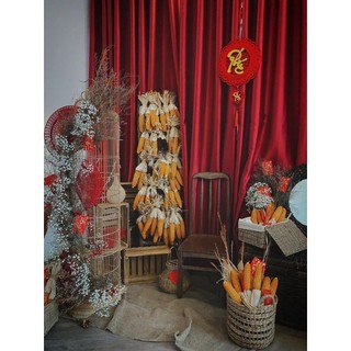 Trái bắp ngô khô, bắp ngô khô, bắp decor, bắp trang trí tết
