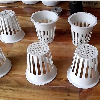 100 rọ nhựa trồng rau thủy canh 65 x 65mm