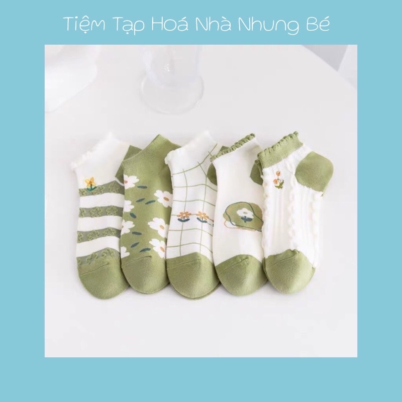 (T2) Set 5 đôi tất cổ ngắn nữ, vớ nữ cổ bèo chất vải cotton co giãn bốn chiều thoáng khí