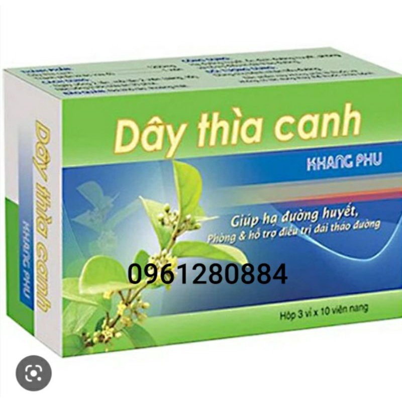 Dây thìa canh khang phú