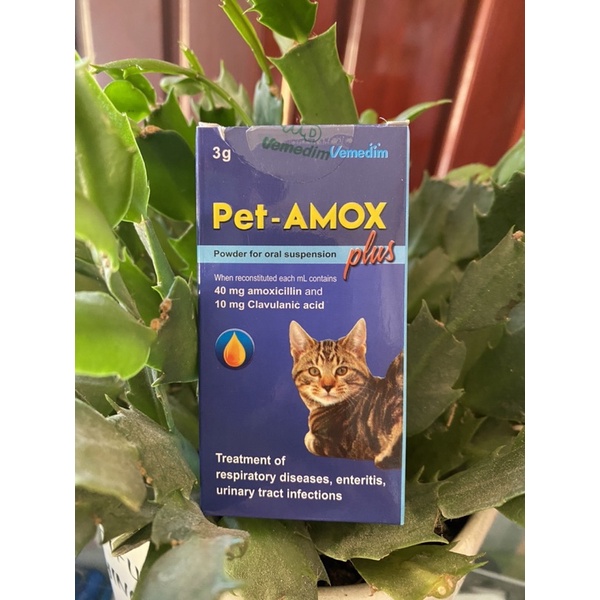 Pet Amox - chuyên dùng cho chó mèo