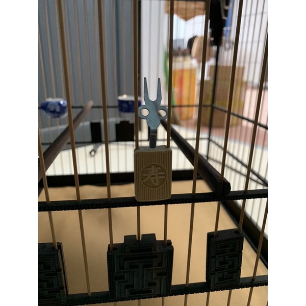 Xiên hoa quả cho chim