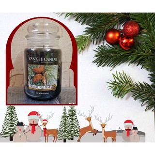 Nến Thơm Yankee Candle Cao Cấp | Nhiều Mùi Hiếm - Autumn glow, Gardenia,Pine, Balsam, Angel - Decor Phòng & Quà Tặng