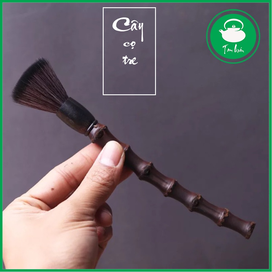 Cây cọ bàn trà thân tre