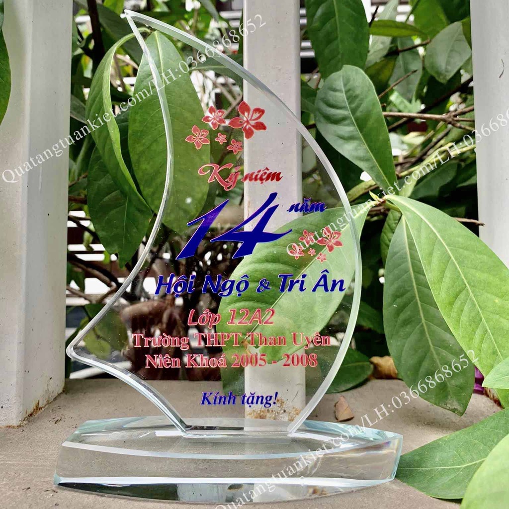 Combo 5 kỷ niệm chương pha lê buồm cong