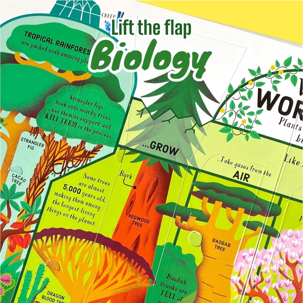 Sách 𝐋𝐢𝐟𝐭-𝐭𝐡𝐞-𝐅𝐥𝐚𝐩 𝐁𝐢𝐨𝐥𝐨𝐠𝐲 – tìm hiểu sinh học bằng ngôn ngữ tiếng anh dành cho học sinh