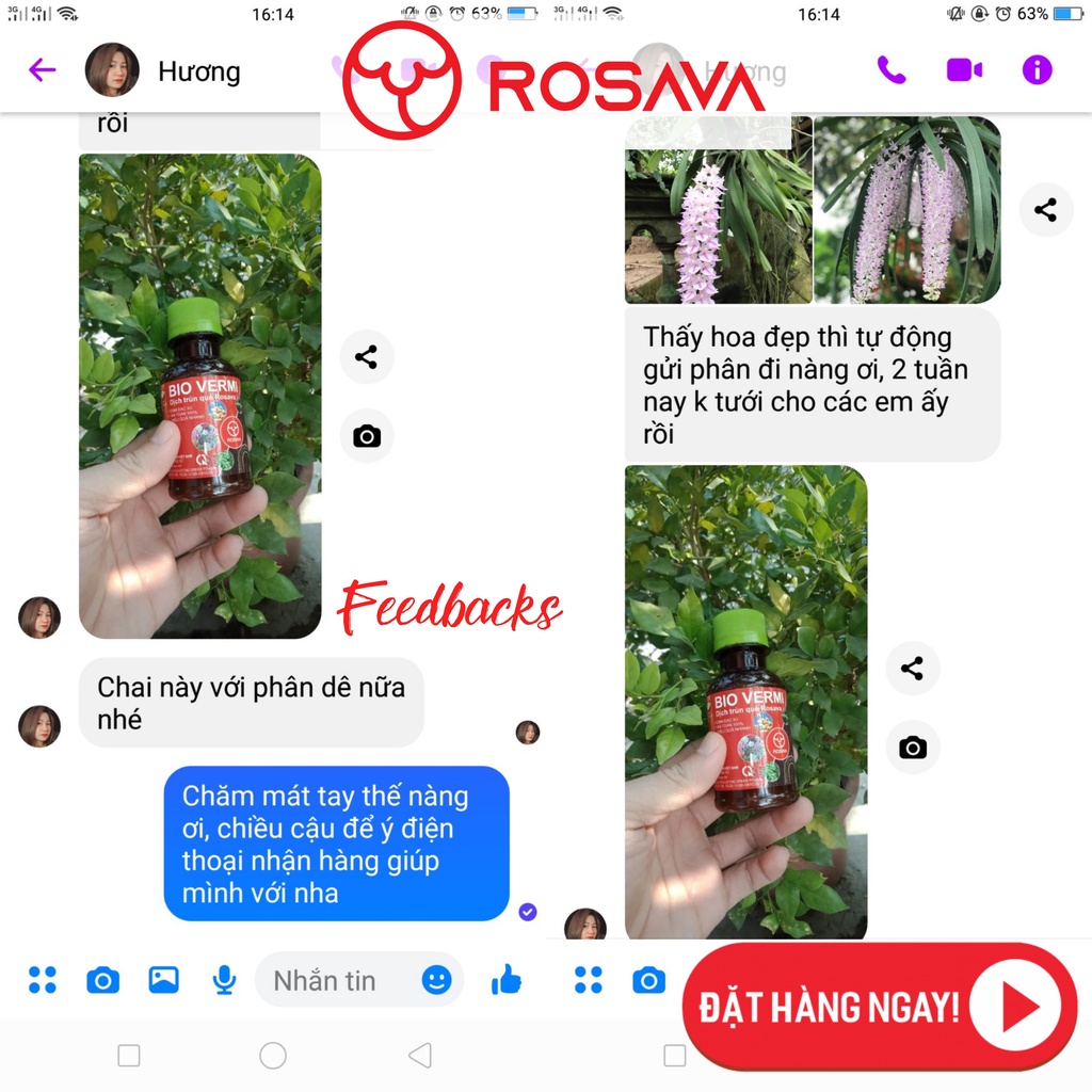 Phân trùn quế hoa lan, dịch trùn quế bón lan hữu cơ vi sinh Bio Vermi nguyên chất ROSAVA