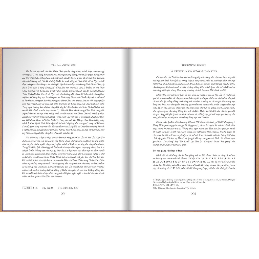 Sách Bìa Cứng - Kinh Thánh – Tân Ước - Alphabooks - Bản Quyền