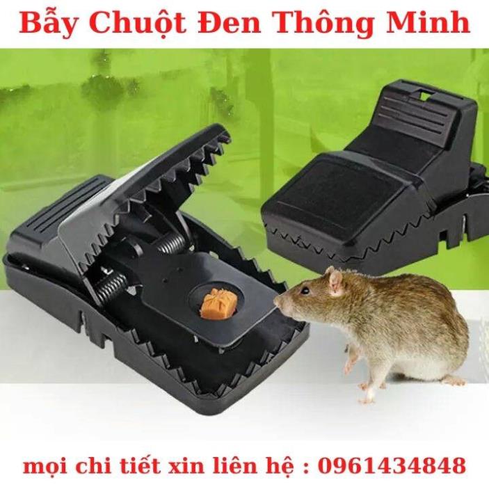 Bẫy Chuột Thông Minh - Giá Rẻ Hiệu Quả Cao  - TH20