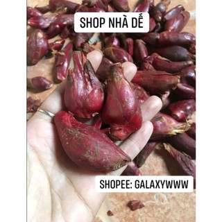 1 kg sâm đại hành khô bổ máu hàng đẹp củ to