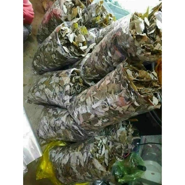 Dâm dương hoắc