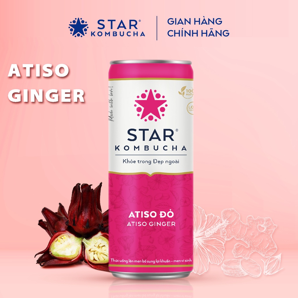 Thùng 12 lon STAR KOMBUCHA Atiso đỏ / Atiso Ginger (250ml/lon) - Trà lên men vi sinh bảo vệ sức khoẻ