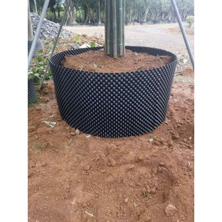 BẦU ƯƠM V6 || 20CM - 80CM (CUỘN DÀI 50M)