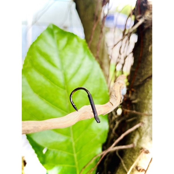 LƯỠI SĂN HÀNG MONSTER ISEMA - Đồ Câu Phạm Ngọc