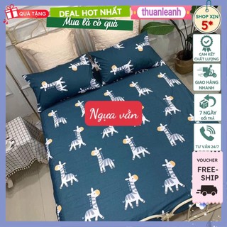 Bộ ga chun bọc đệm kèm 2 vỏ gối poly cotton 1m,1m2 cho đệm dày 15-20cm