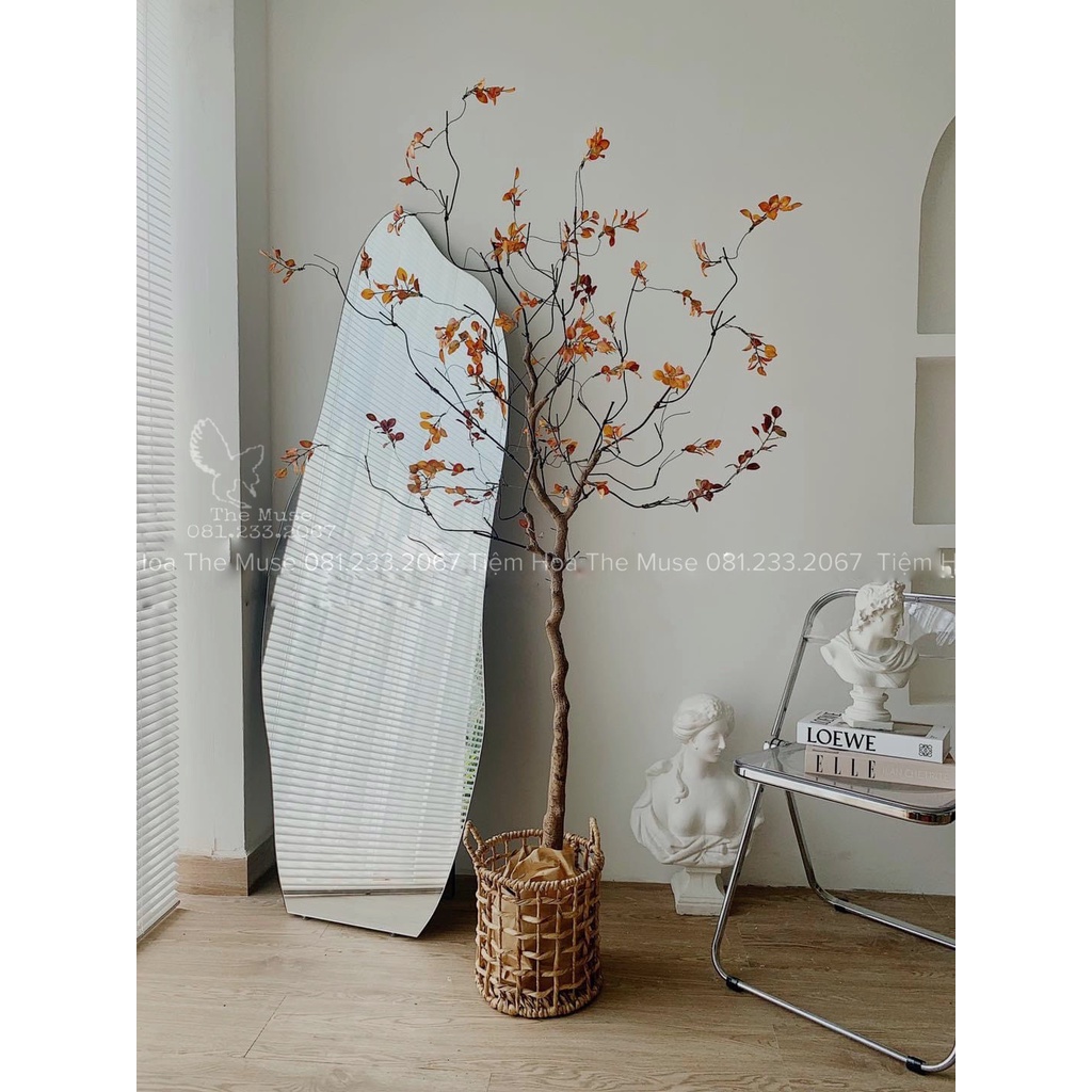 Cây Dã Mai Diệp - Cây Giả Decor - Phong Cách Wabi Sabi Nhật Bản