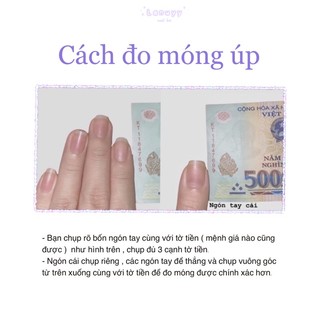 Nailbox móng úp đen trơn , trắng trơn basic.