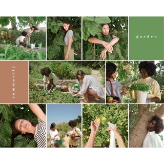 Phân bón NPK 30-10-10 Gói 700GR