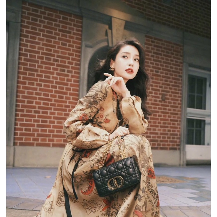 Túi dior caro triêu lệ dĩnh size 22