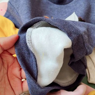 Áo nỉ tuồn xịn