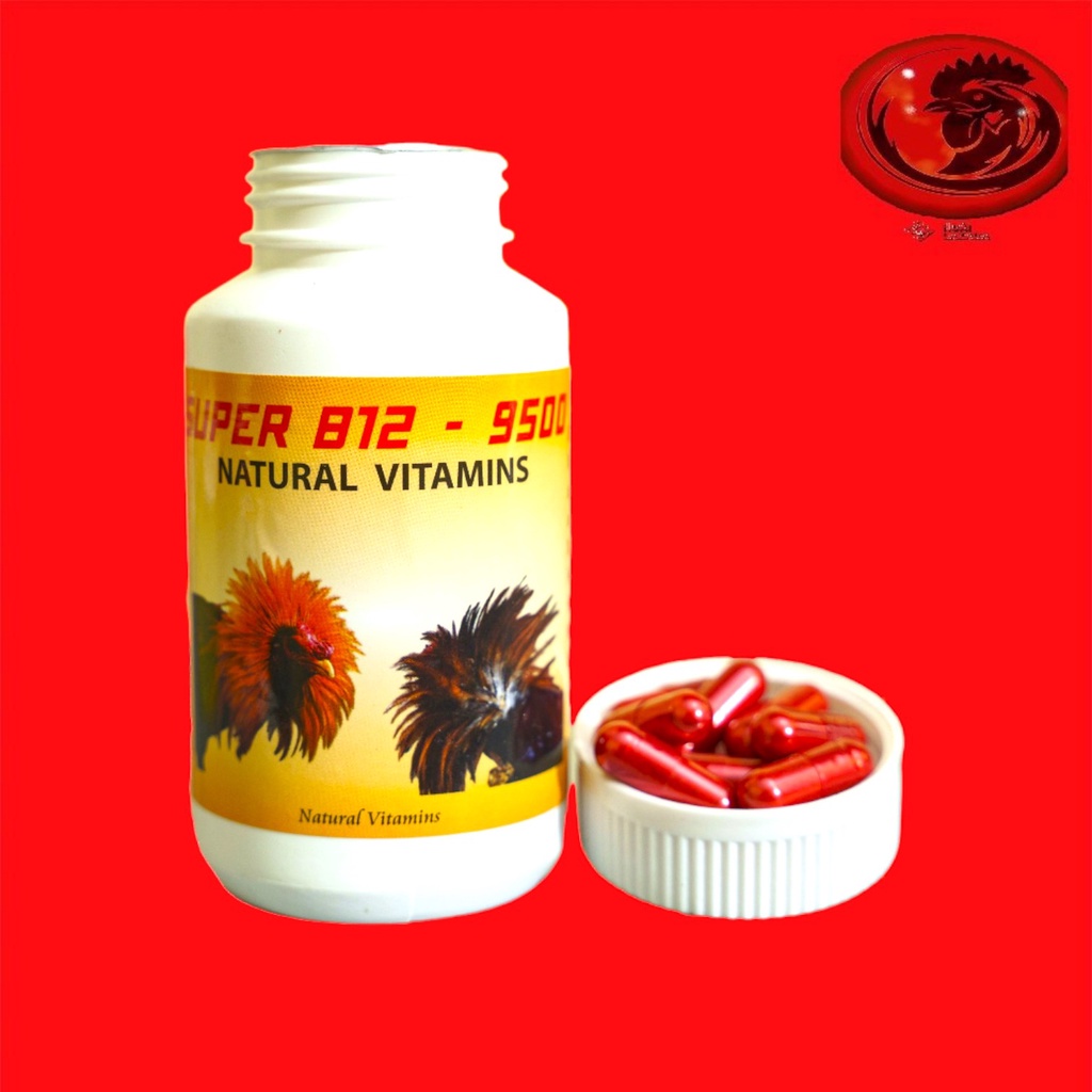 B12 9500 thức ăn tăng lực gom bo cấp tốc, đá bo lớn , nạp bin nhanh kích thích gà thèm ăn 100 viên