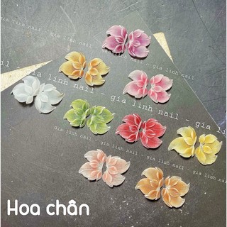 Hoa bột chân nail