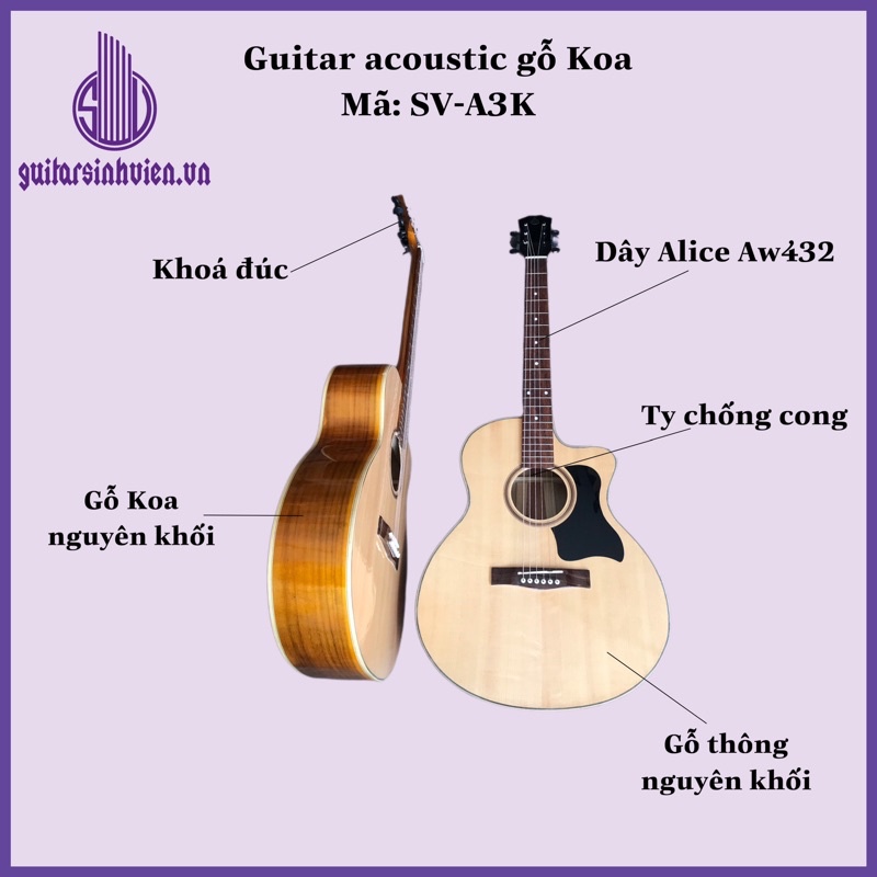 Đàn guitar acoustic gỗ thịt 100% - Đàn chính hãng guitarsinhvien.vn - Tặng 8 phụ kiện