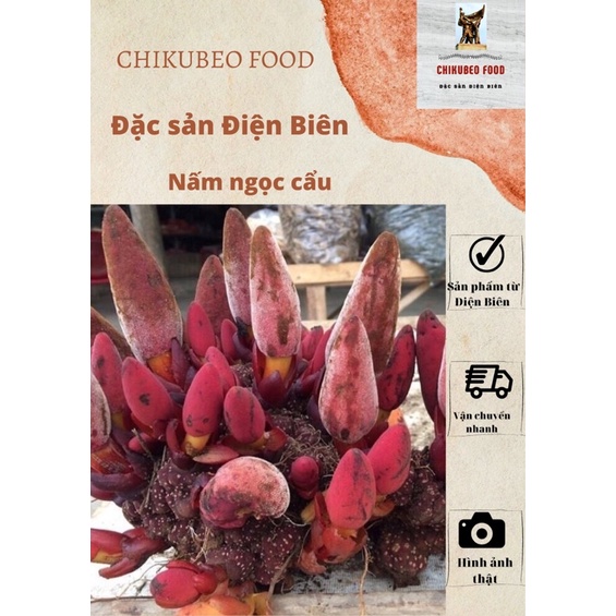 NẤM NGỌC CẨU KHÔ - TƯƠI