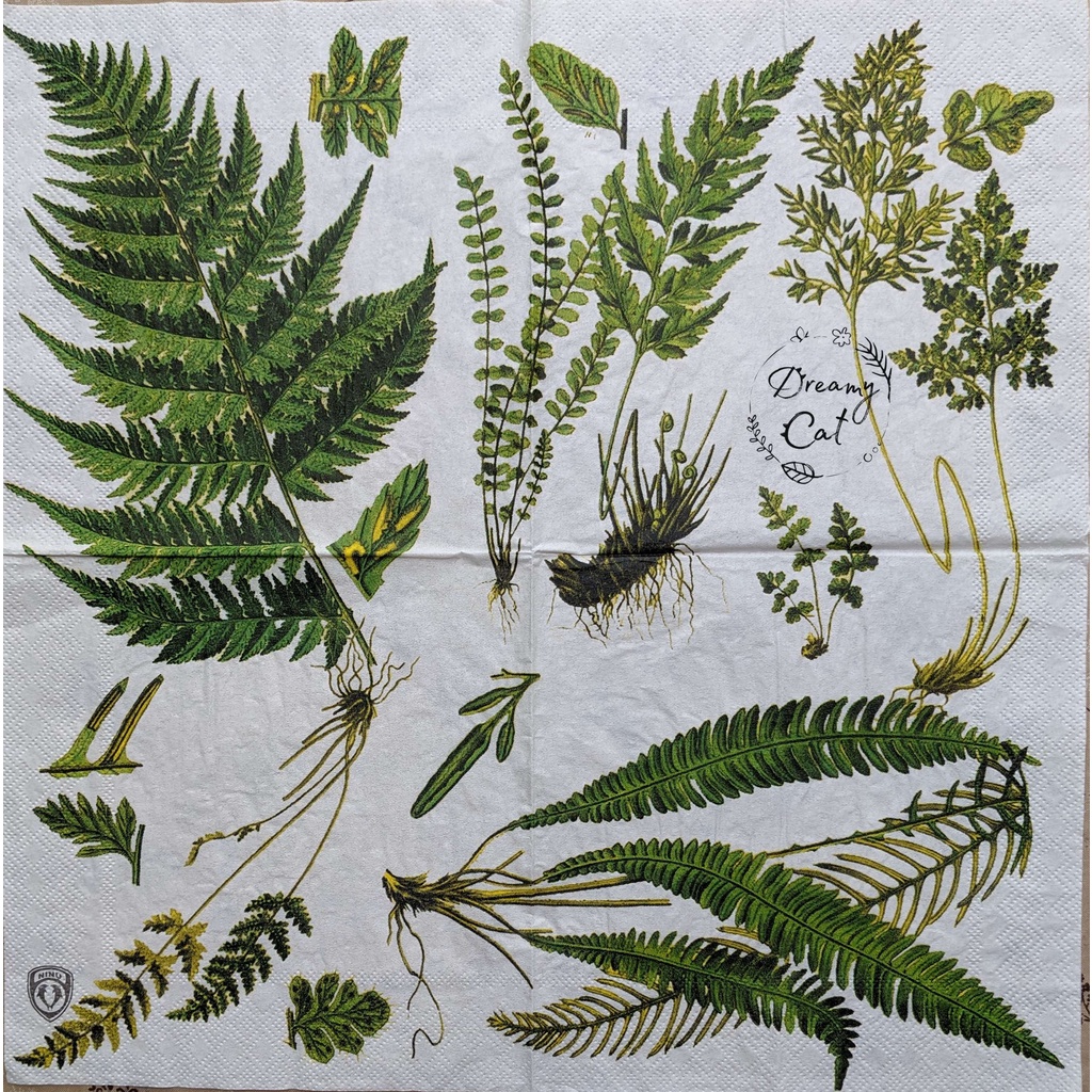 Khăn giấy in hình trang trí - Decoupage napkin - Mẫu 1/1 - NAP-33-160