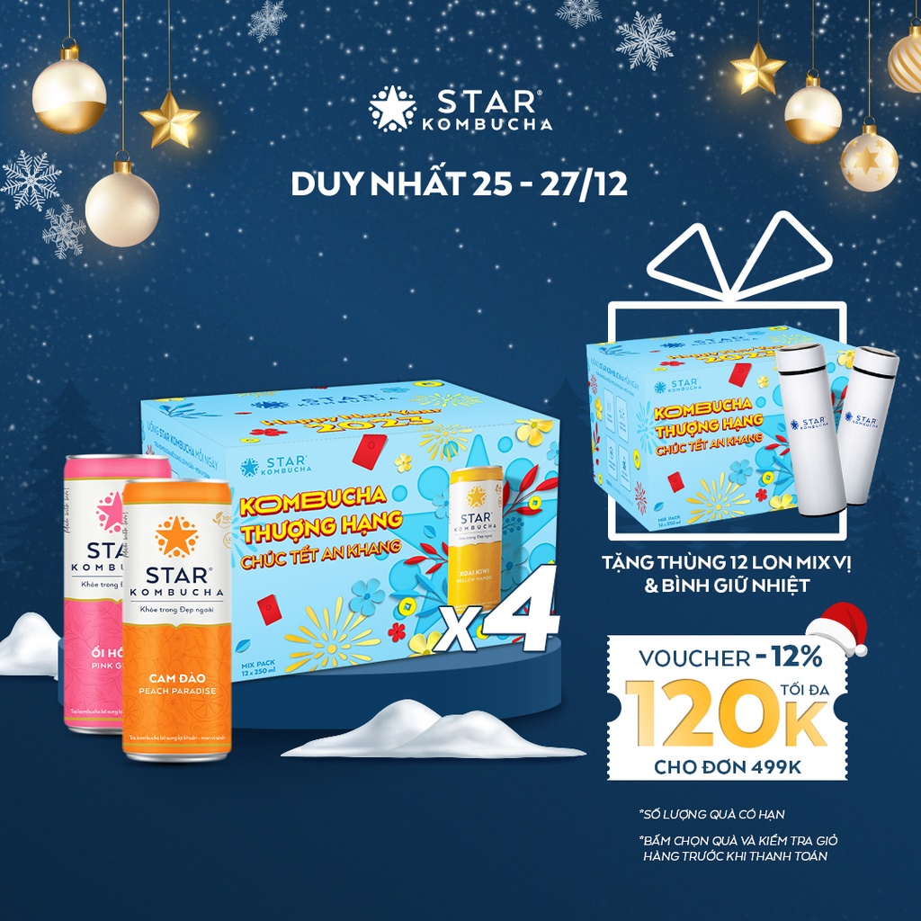 Combo 4 thùng 12 lon trà hữu cơ STAR KOMBUCHA mix vị - Family Pack (250ml/lon) - Trà lên men vi sinh chứa probiotics