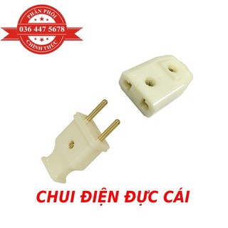 Chui điện phích cắm đực cái